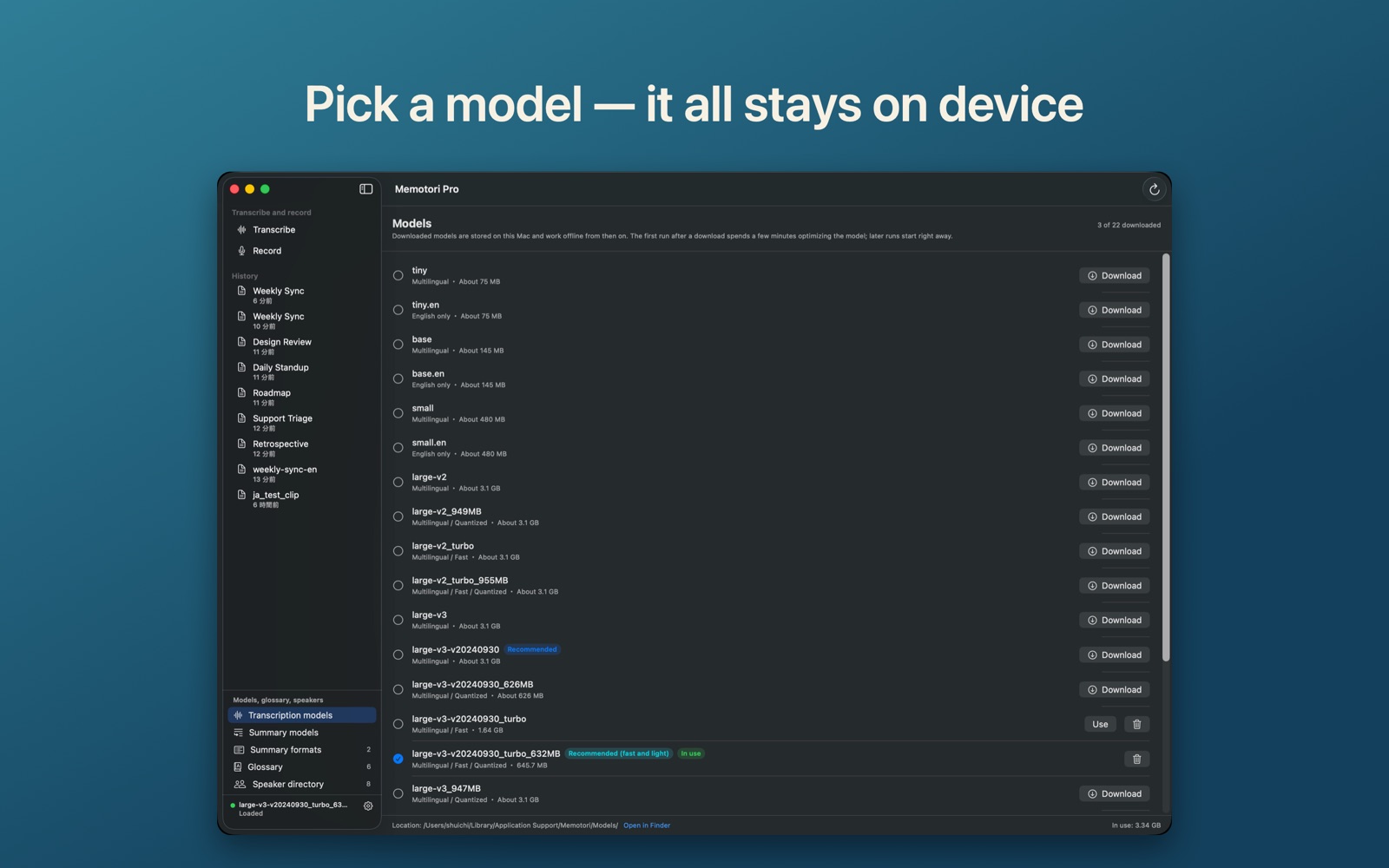Model manager